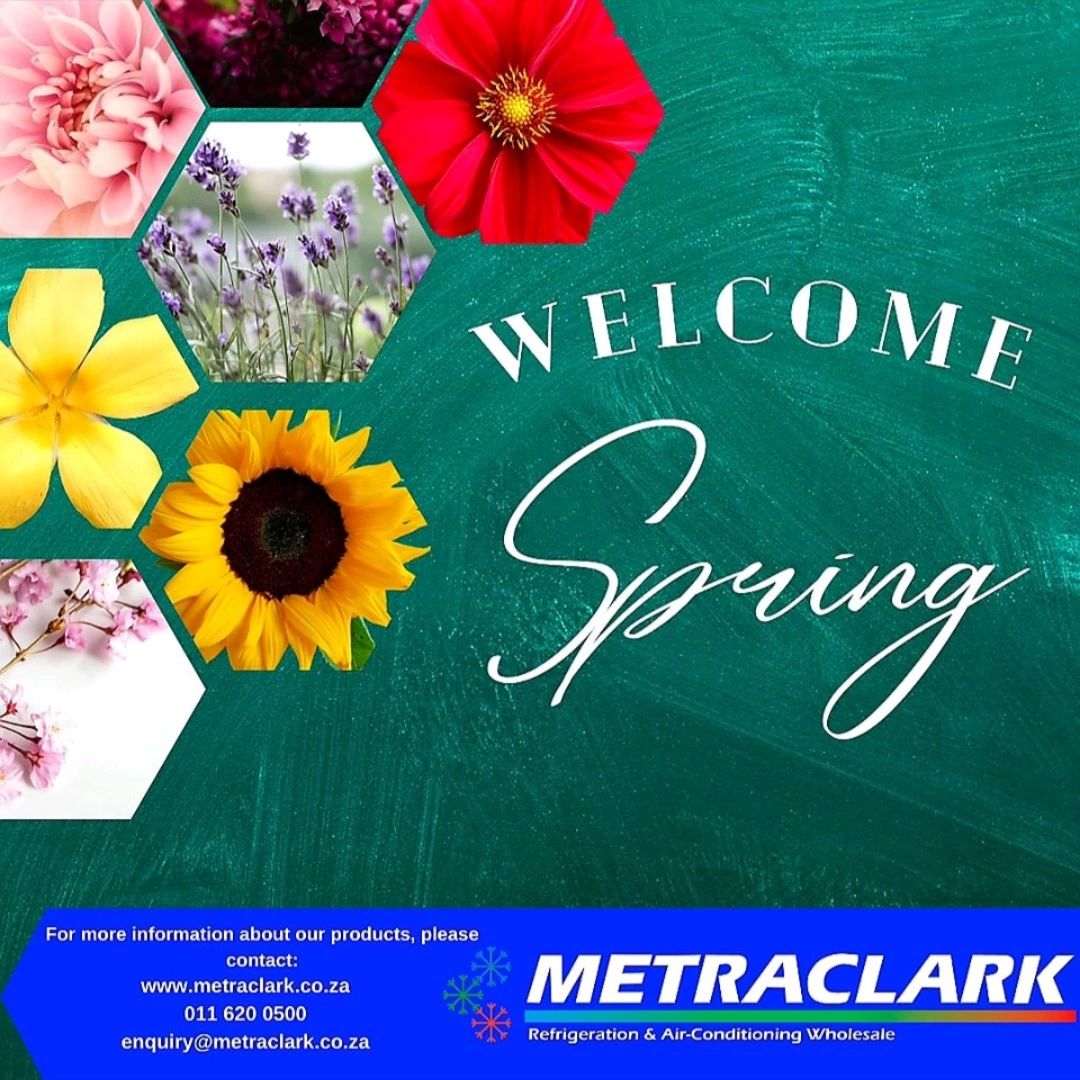 Happy Spring Day 